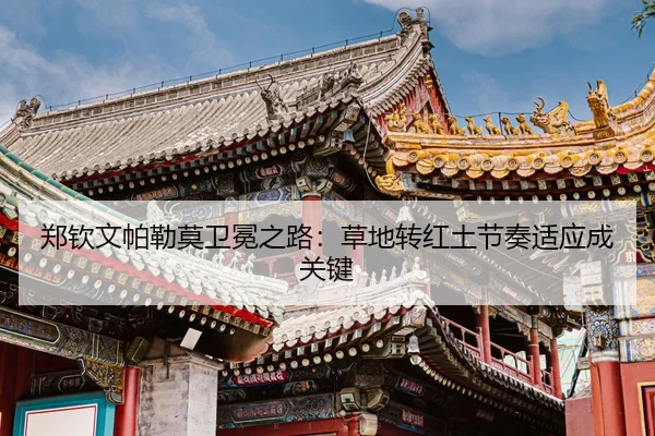 zheng-qin-wen-pa-lei-mo-wei-mian-zhi-lu-cao-di-zhuan-hong-tu-jie-zou-shi-ying-cheng-guan-jian-3-972.jpg