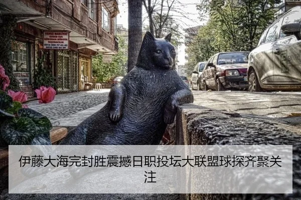 yi-teng-da-hai-wan-feng-sheng-zhen-han-ri-zhi-tou-tan-da-lian-meng-qiu-tan-qi-ju-guan-zhu-3-202.jpg