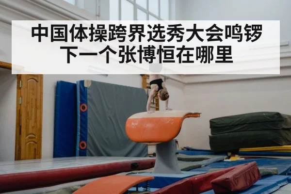 中国体操跨界选秀大会鸣锣下一个张博恒在哪里